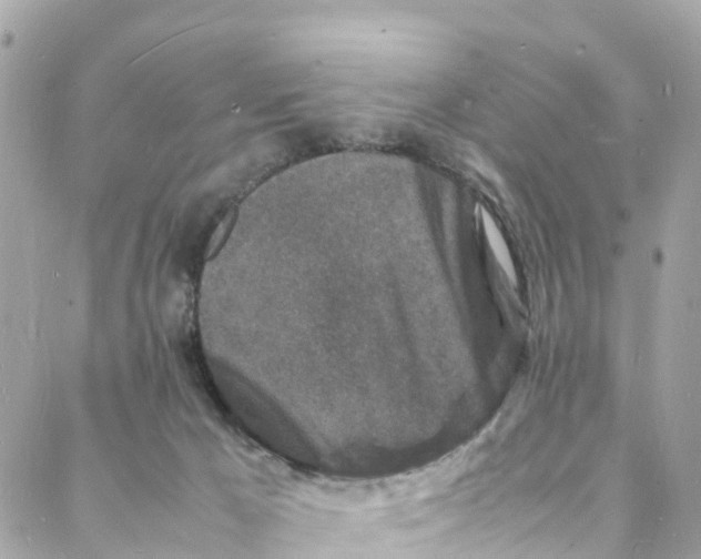 X0000088030029200706011401