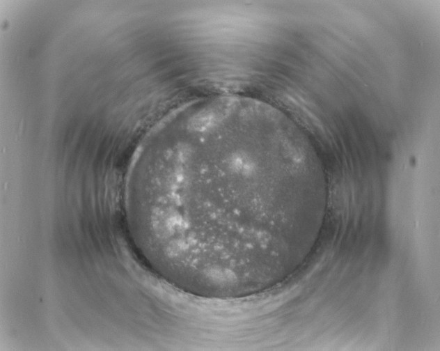 X0000088030030200706011401