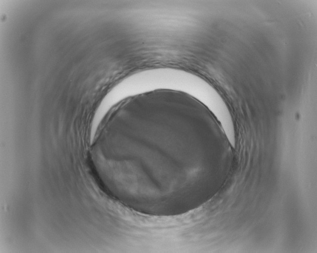 X0000088030031200706011401