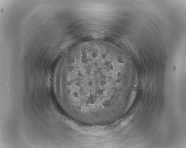 X0000088030032200706011401