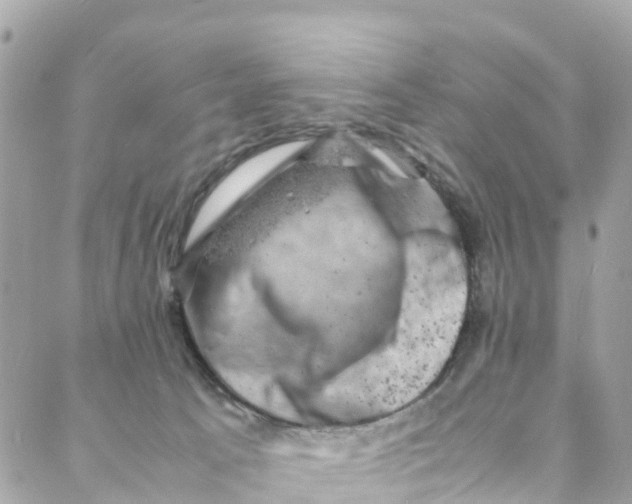 X0000088030033200706011401