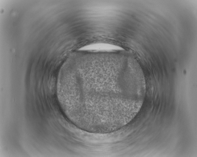 X0000088030034200706011401