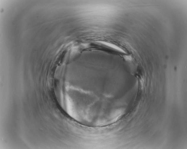 X0000088030035200706011400