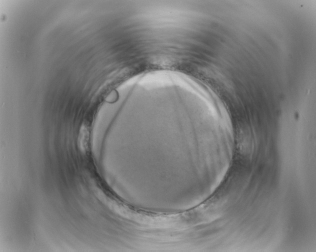 X0000088030036200706011400