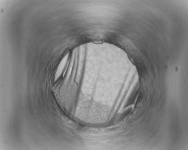 X0000088030037200706011400