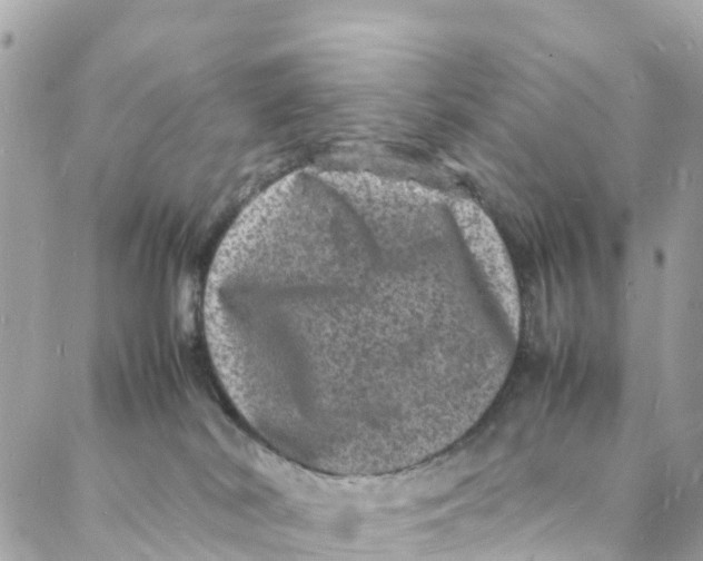 X0000088030038200706011400