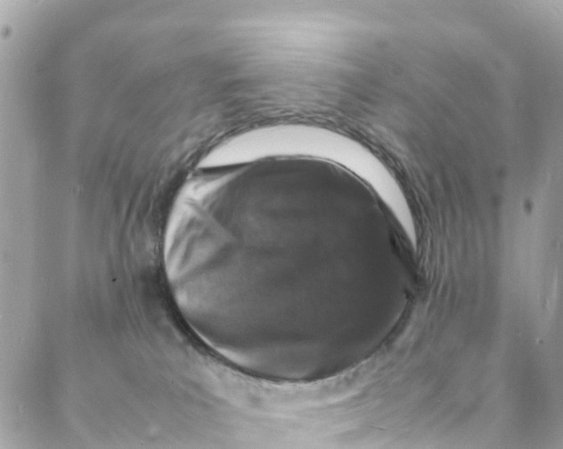 X0000088030039200706011400