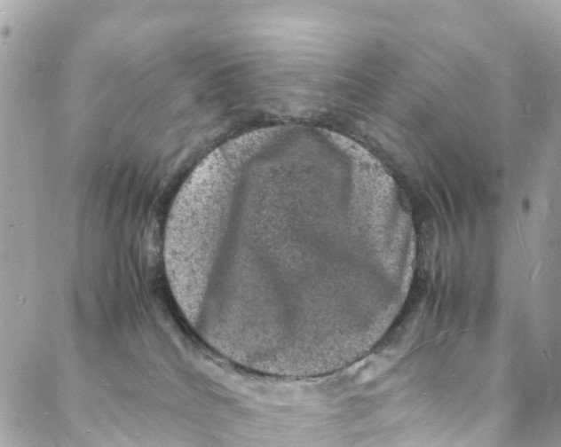 X0000088030040200706011400