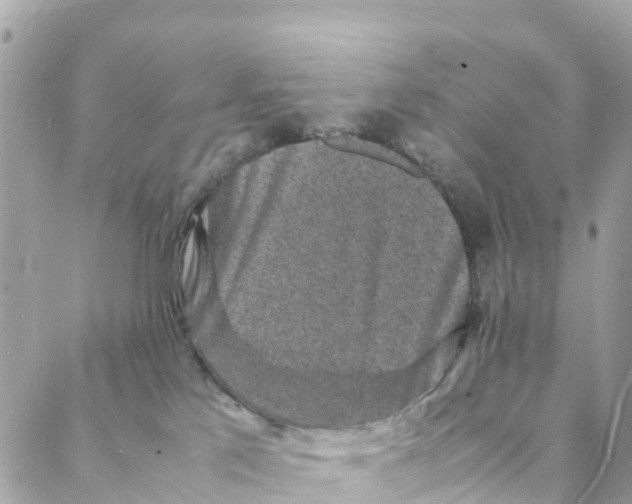 X0000088030041200706011400