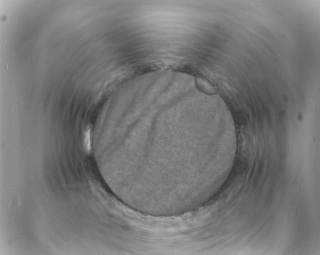 X0000088030042200706011400