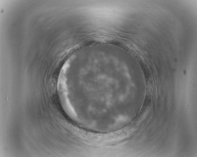 X0000088030043200706011400