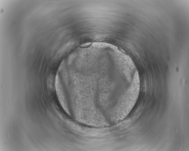 X0000088030044200706011400