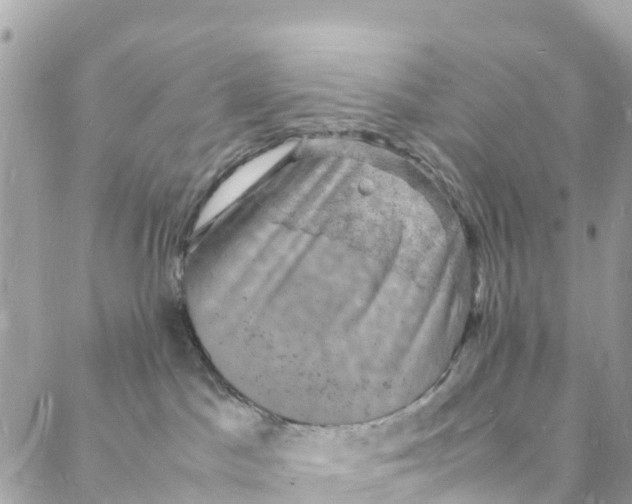 X0000088030045200706011400