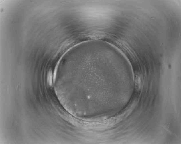 X0000088030046200706011400