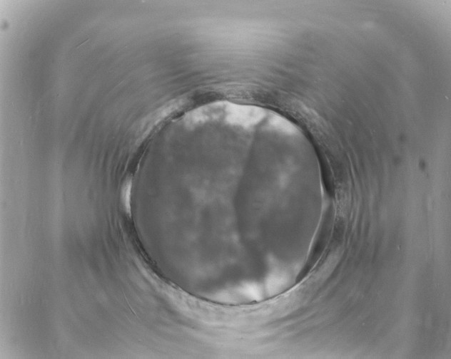 X0000088030047200706011400