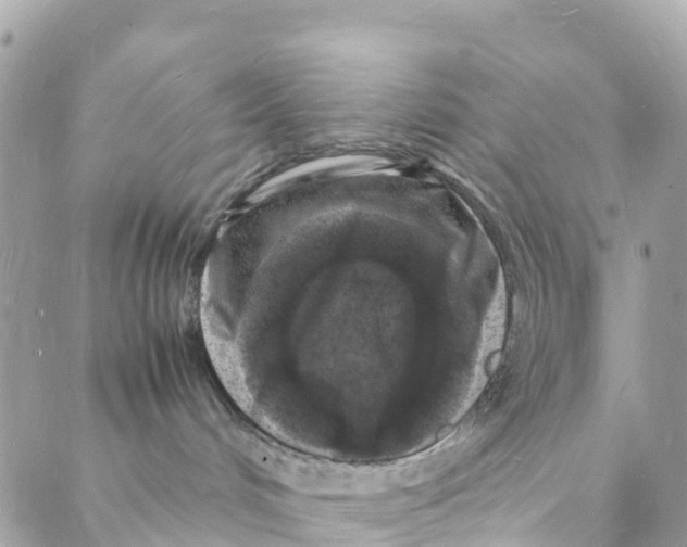 X0000088030048200706011400