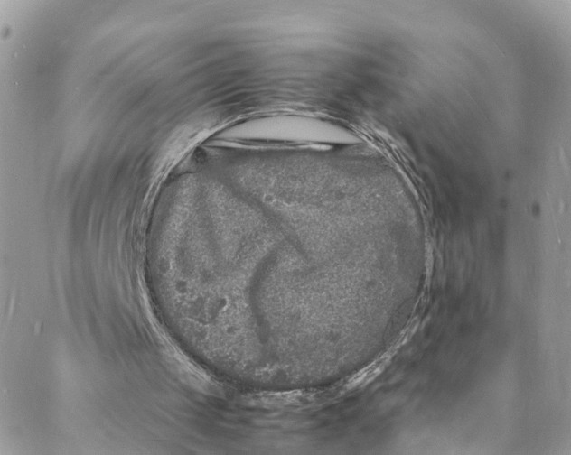 X0000088030049200706011359