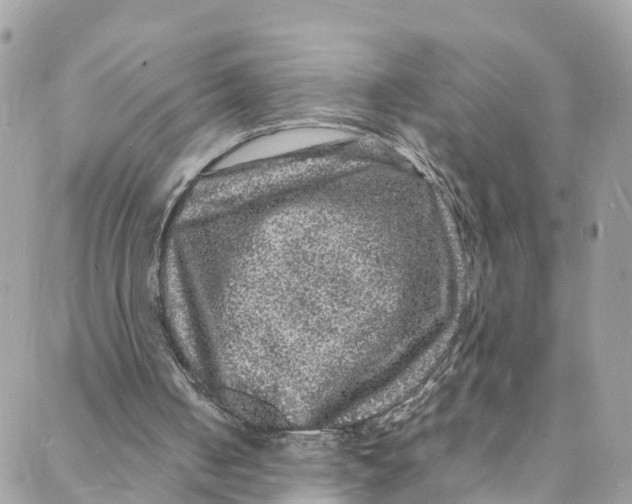 X0000088030050200706011400