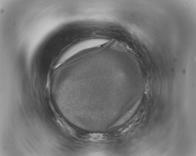 X0000088030052200706011400