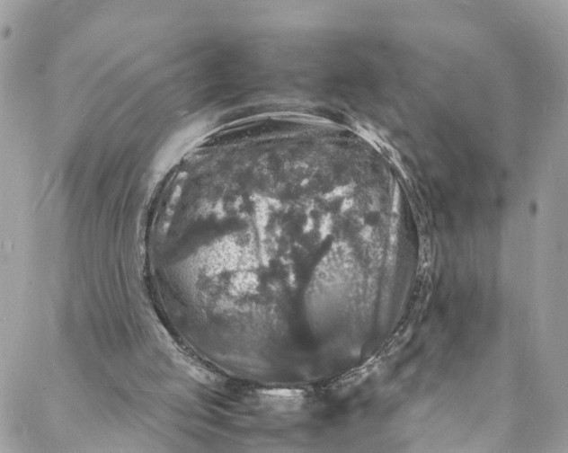 X0000088030053200706011400