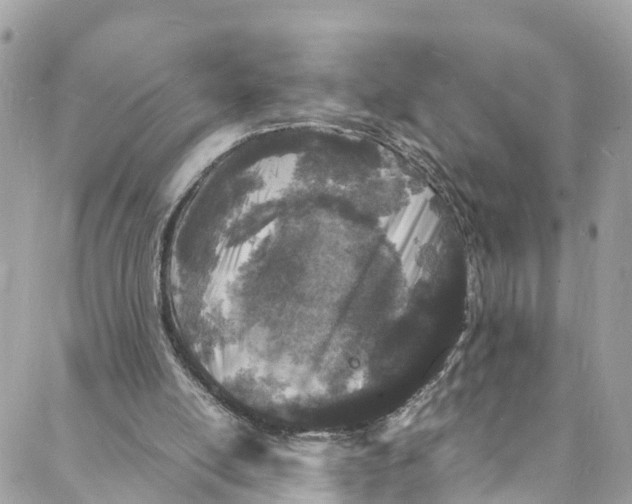 X0000088030054200706011400