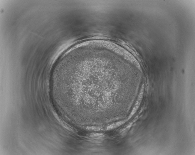 X0000088030055200706011400