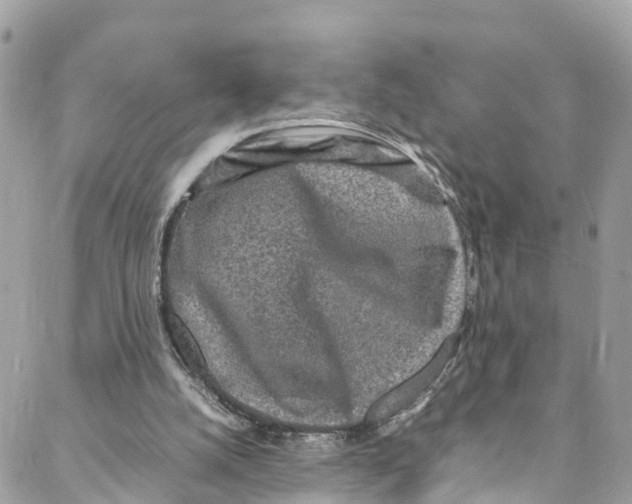 X0000088030056200706011400