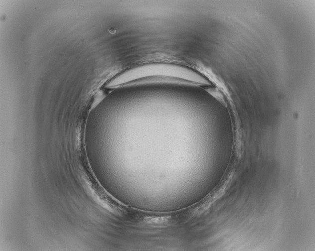 X0000088030057200706011400