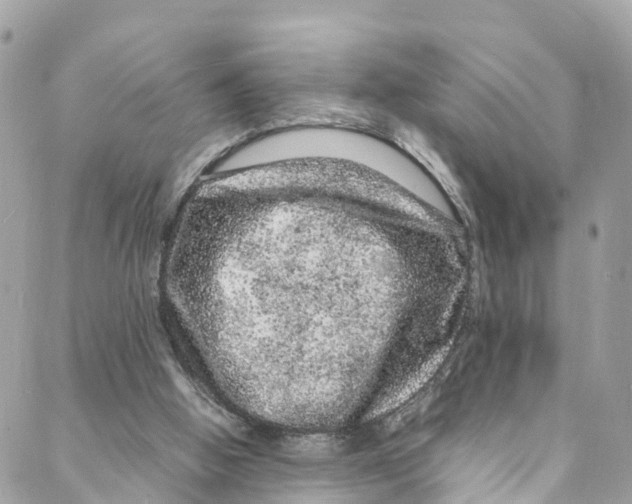 X0000088030058200706011400