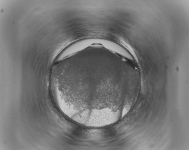 X0000088030059200706011400