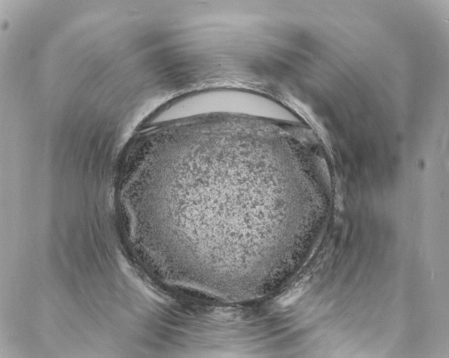 X0000088030060200706011400