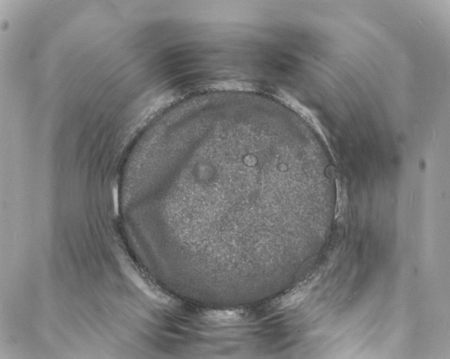 X0000088030061200706011400