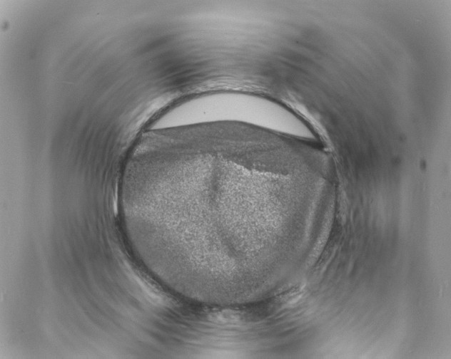 X0000088030062200706011400