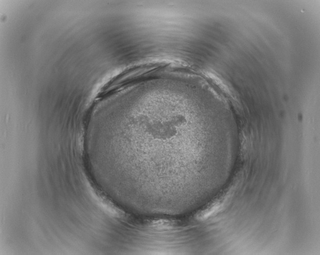 X0000088030064200706011400