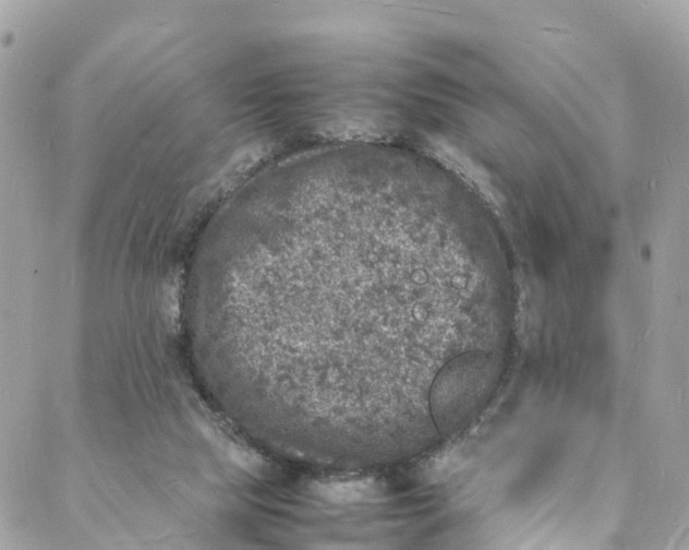 X0000088030065200706011400