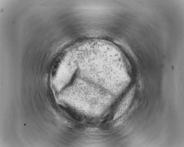 X0000088030066200706011400