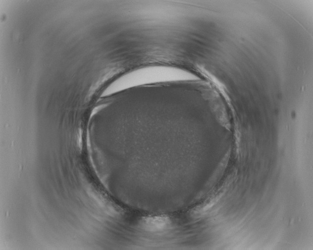 X0000088030067200706011400