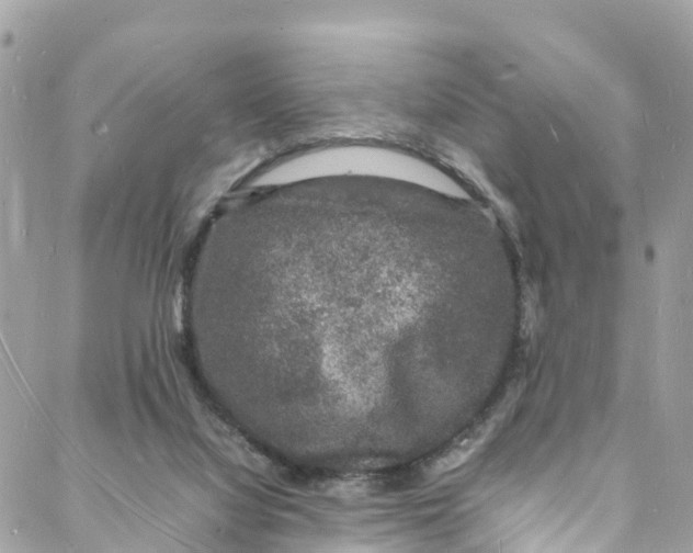 X0000088030068200706011400