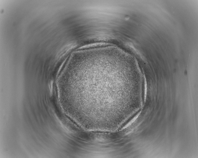 X0000088030070200706011400