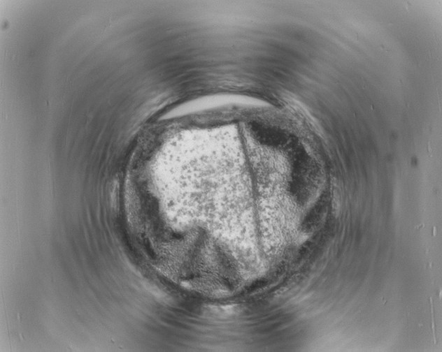 X0000088030071200706011400