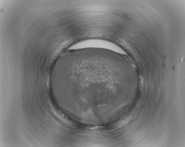 X0000088030072200706011400