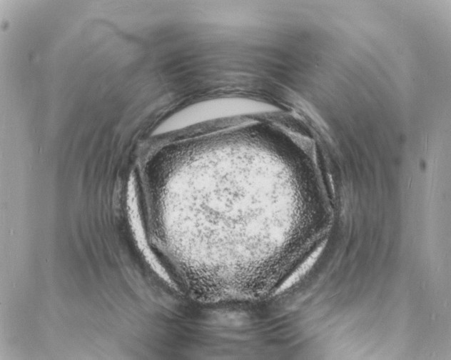 X0000088030073200706011400