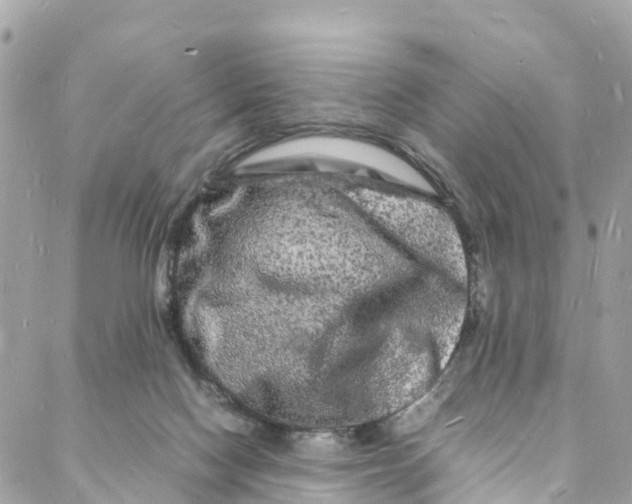 X0000088030074200706011400