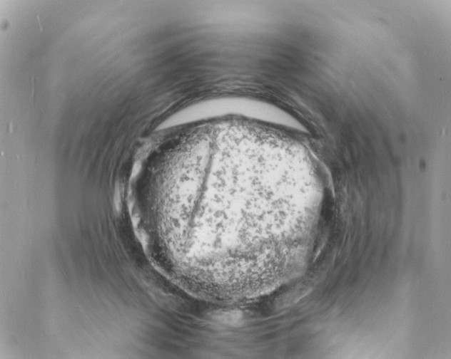 X0000088030075200706011400