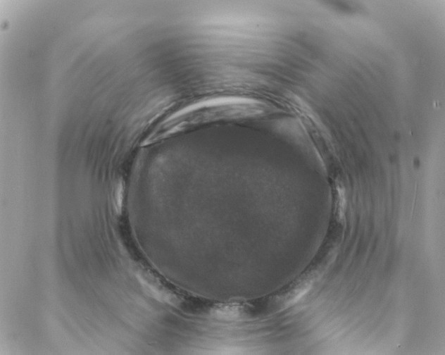 X0000088030076200706011400