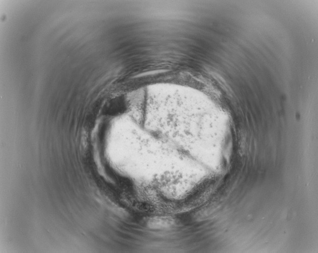 X0000088030077200706011400