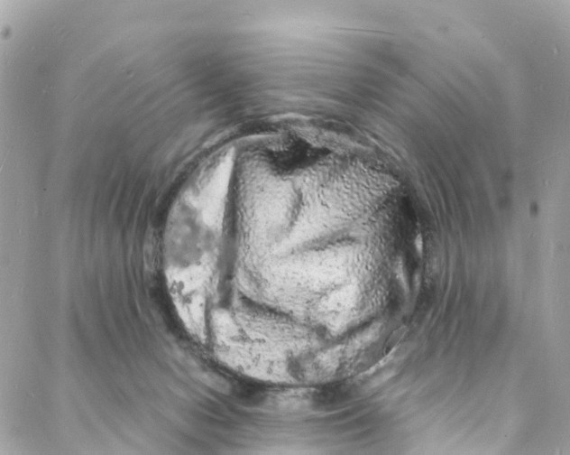 X0000088030078200706011400