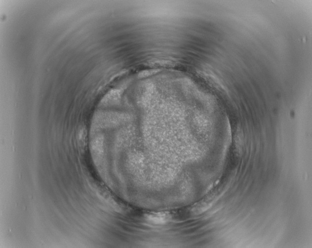 X0000088030079200706011400