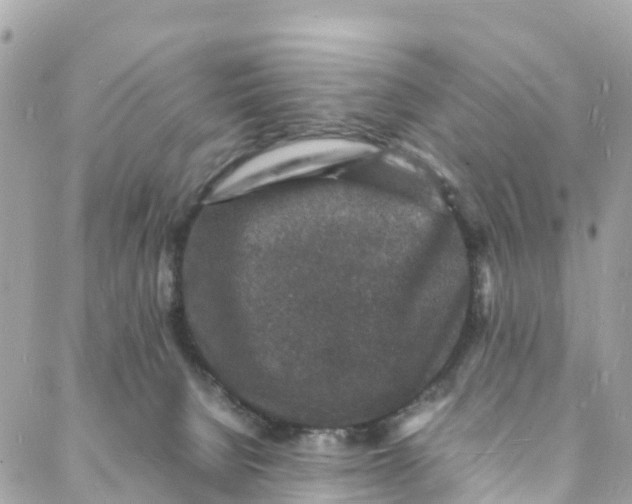 X0000088030080200706011400