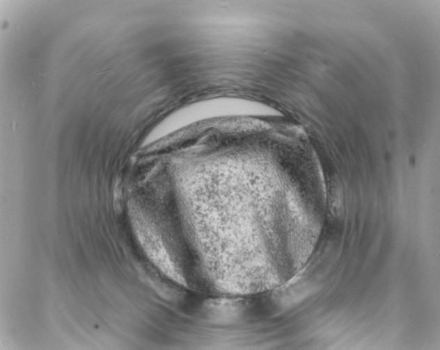 X0000088030082200706011400